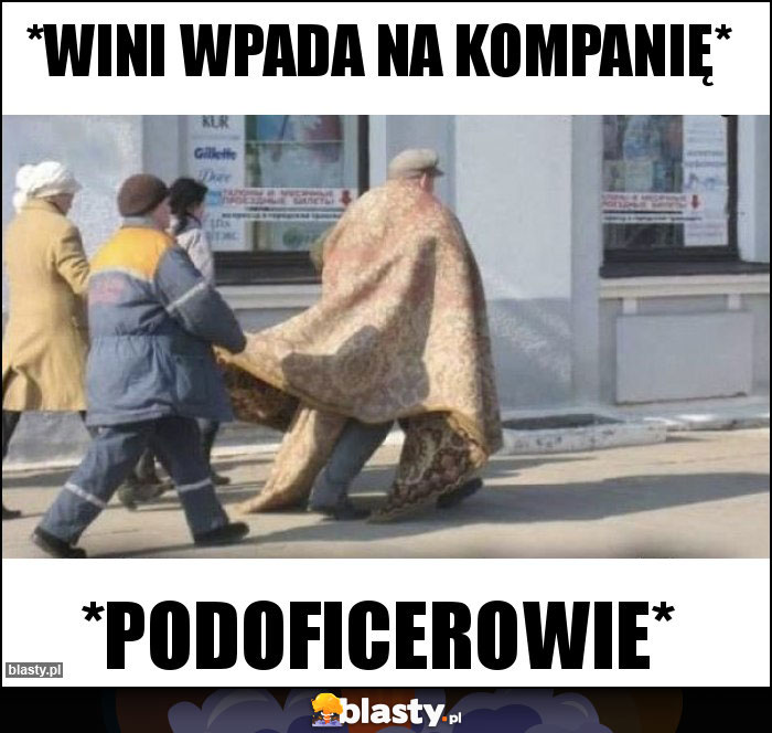 *wini wpada na kompanię* *wini wpada na kompanię*