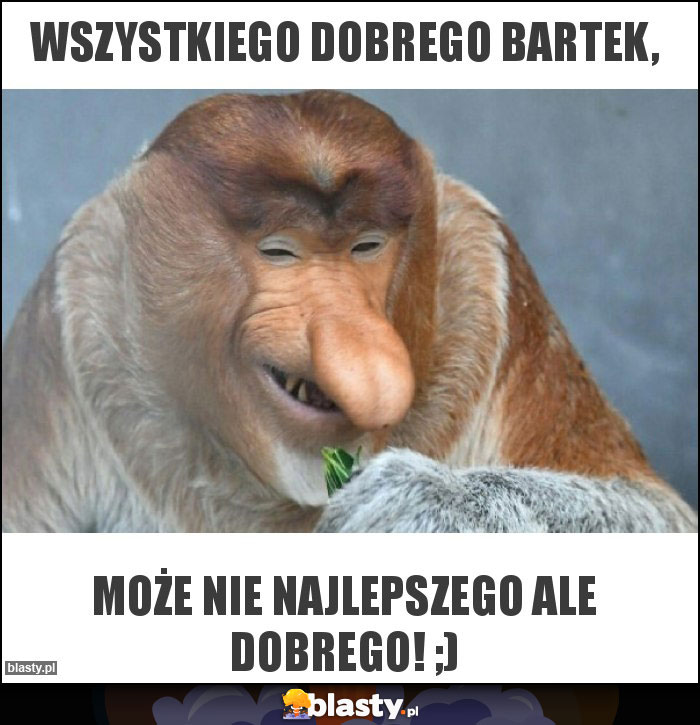 Wszystkiego dobrego Bartek, Wszystkiego dobrego Bartek,