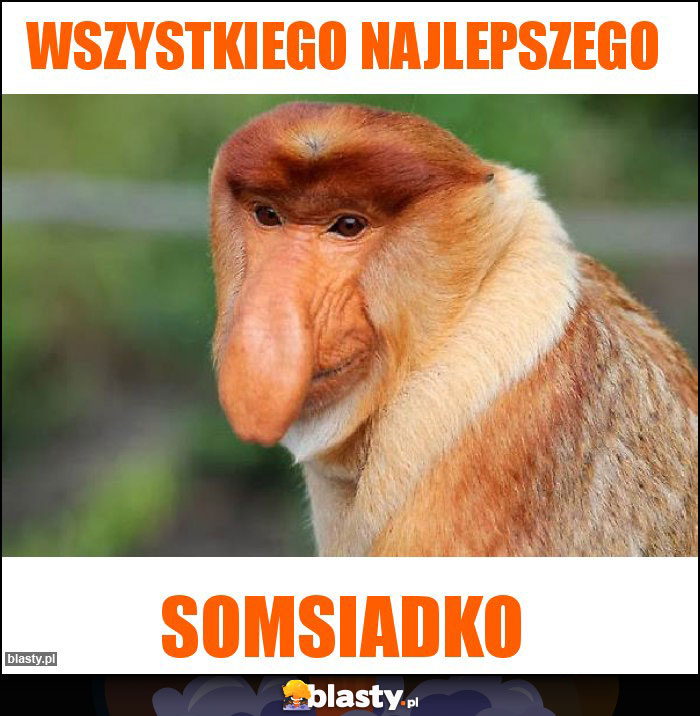 Wszystkiego najlepszego Wszystkiego najlepszego