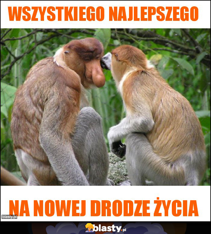 WSZYSTKIEGO NAJLEPSZEGO WSZYSTKIEGO NAJLEPSZEGO