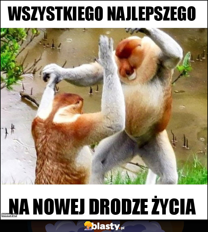 WSZYSTKIEGO NAJLEPSZEGO WSZYSTKIEGO NAJLEPSZEGO