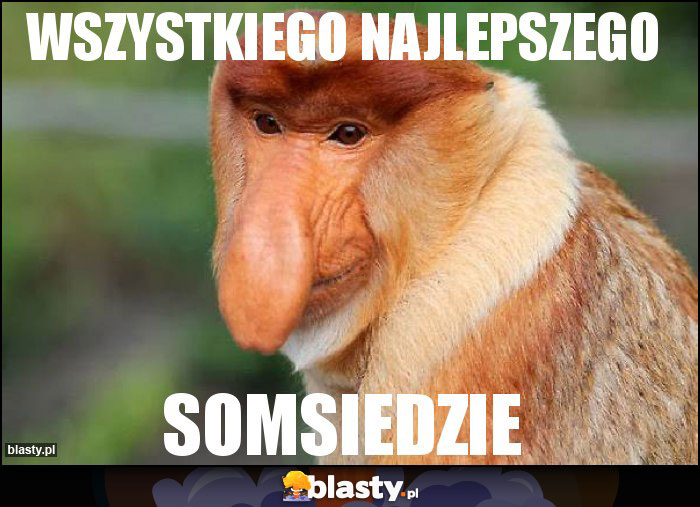 Wszystkiego najlepszego Wszystkiego najlepszego