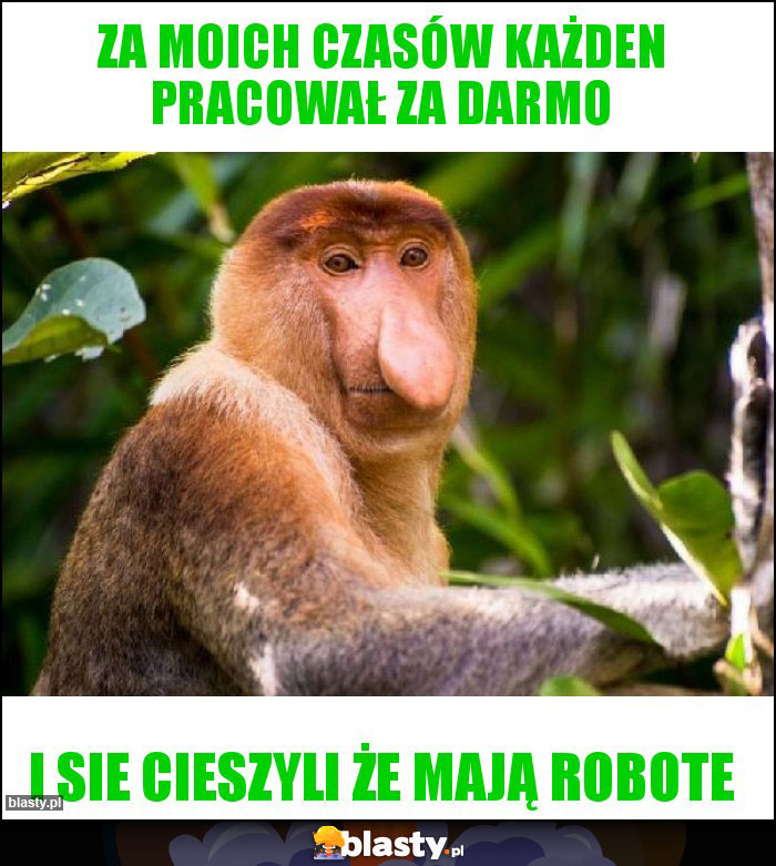 za moich czasów każden pracował za darmo za moich czasów każden pracował za darmo