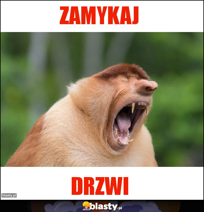 ZAMYKAJ