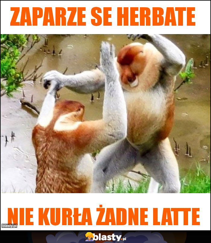 Zaparze se herbate