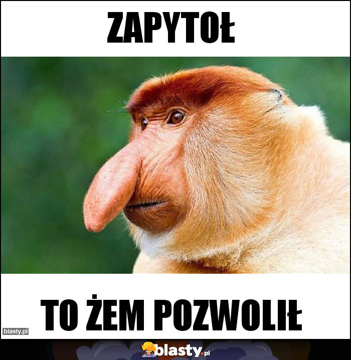 Zapytoł