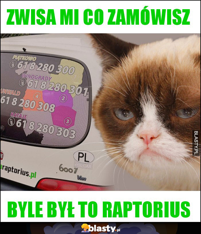 zwisa mi co zamówisz zwisa mi co zamówisz