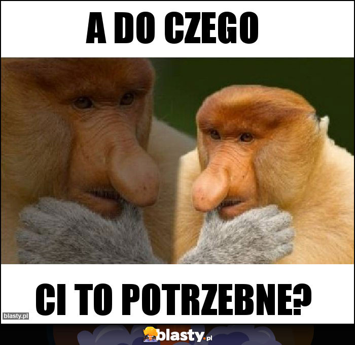 A do czego A do czego