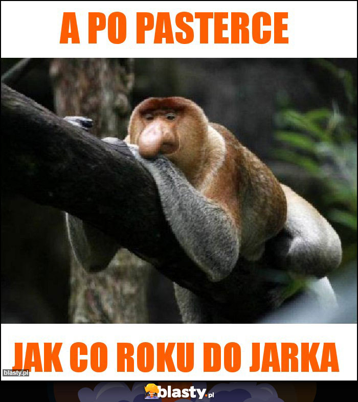 A po pasterce A po pasterce