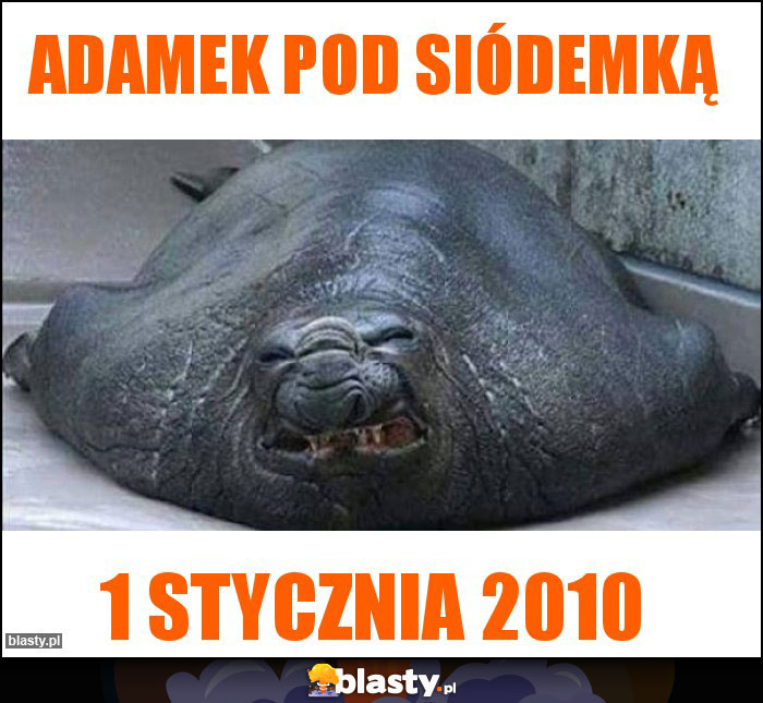 Adamek pod siódemką Adamek pod siódemką