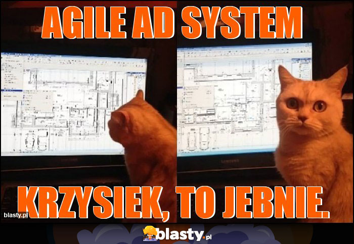 AGILE AD system AGILE AD system