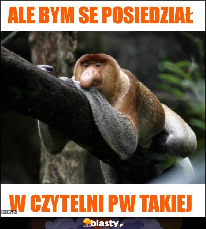 ALE BYM se posiedział ALE BYM se posiedział
