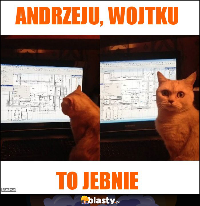 Andrzeju, Wojtku Andrzeju, Wojtku