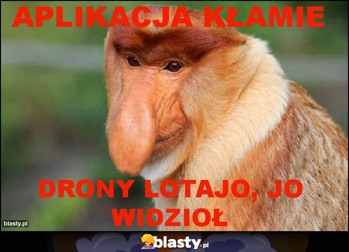 Aplikacja kłamie Aplikacja kłamie