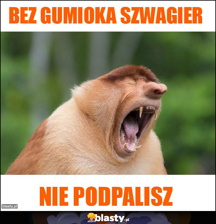 Bez gumioka szwagier Bez gumioka szwagier