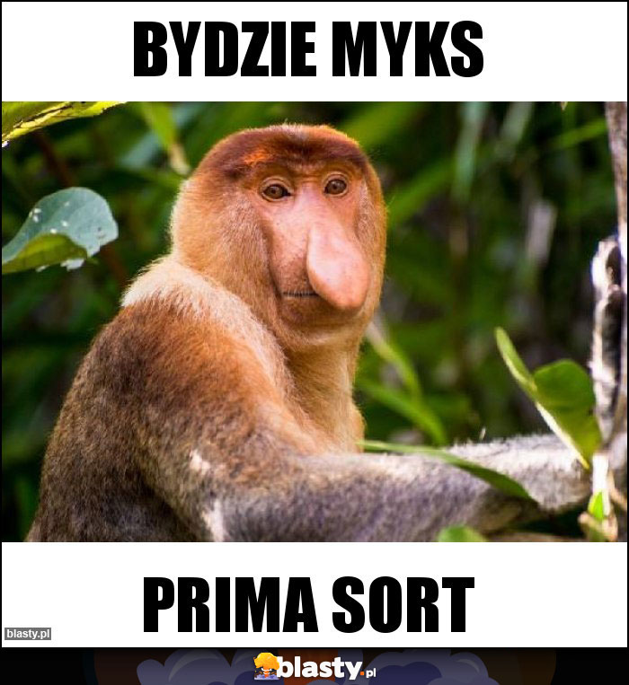 Bydzie myks