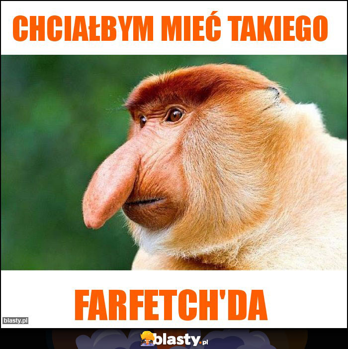 Chciałbym mieć takiego Chciałbym mieć takiego