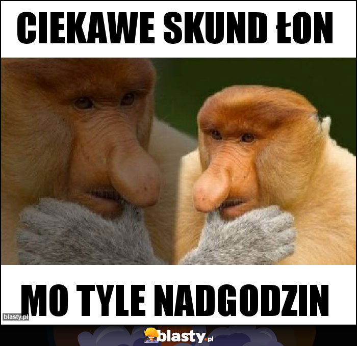Ciekawe skund łon Ciekawe skund łon