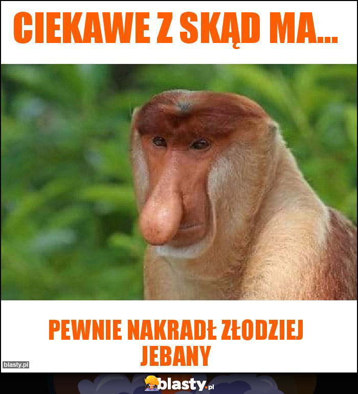 Ciekawe z skąd ma... Ciekawe z skąd ma...