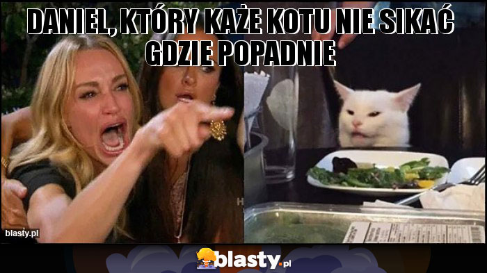 Daniel, który każe kotu nie sikać gdzie popadnie