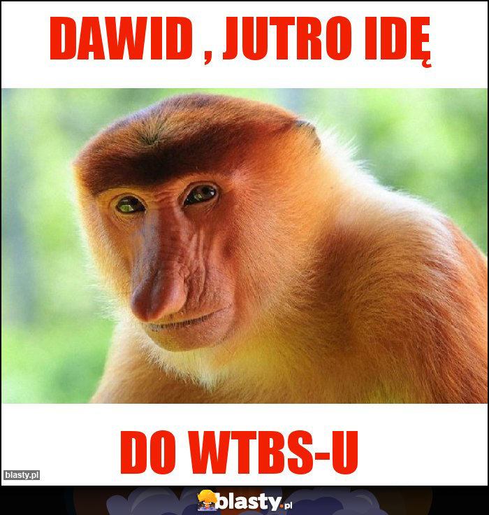 Dawid , jutro idę Dawid , jutro idę