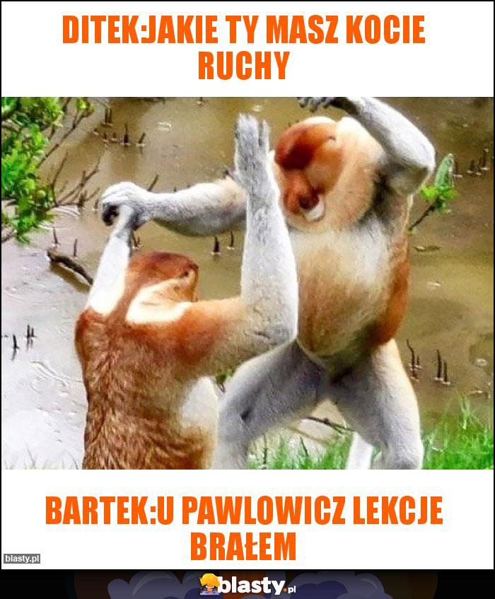 Ditek:jakie ty masz kocie ruchy