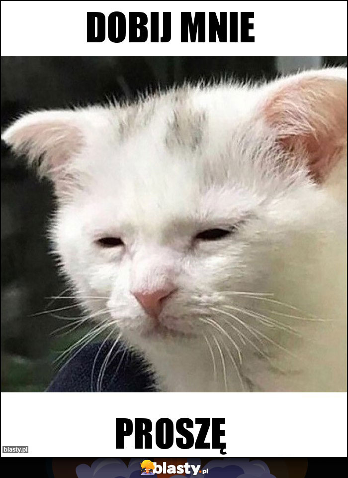 Dobij mnie Dobij mnie