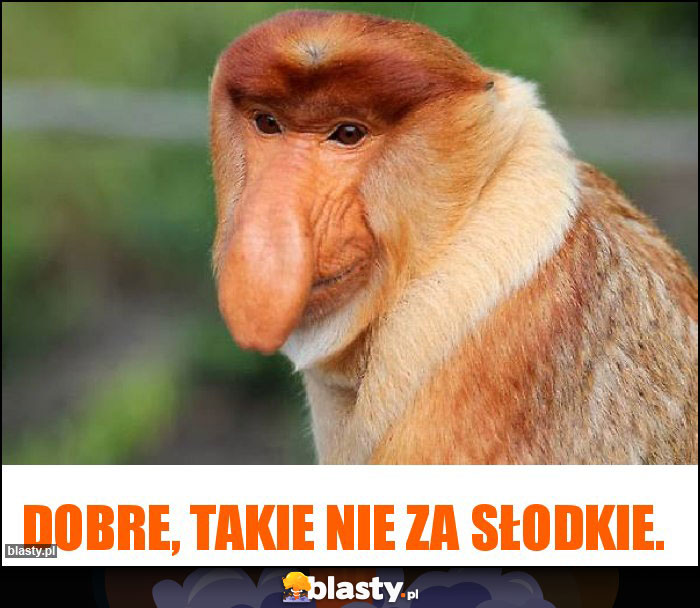 Dobre, takie nie za słodkie. Dobre, takie nie za słodkie.