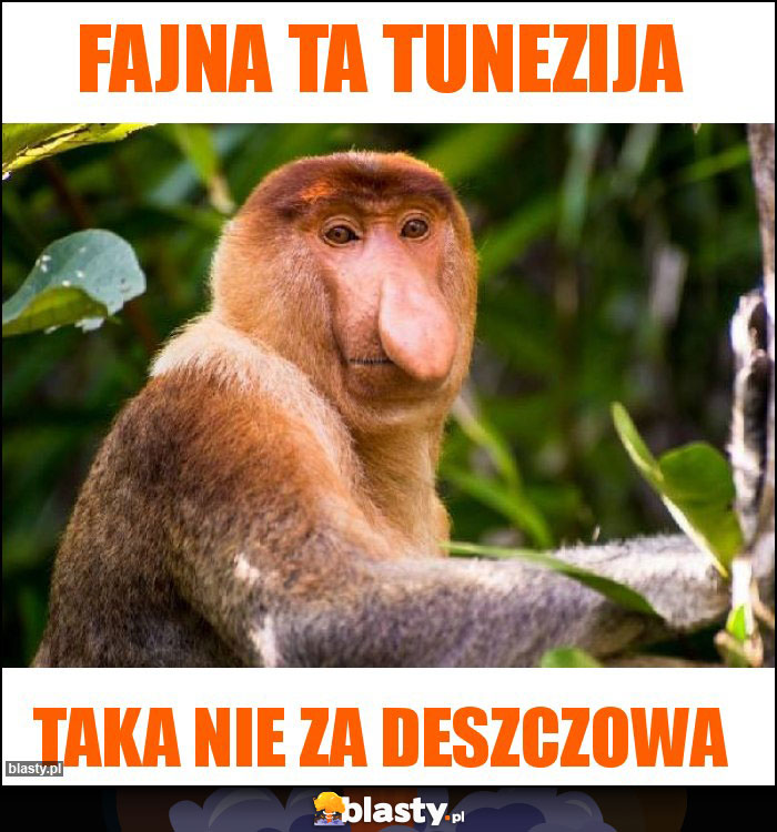 FAJNA TA TUNEZIJA FAJNA TA TUNEZIJA