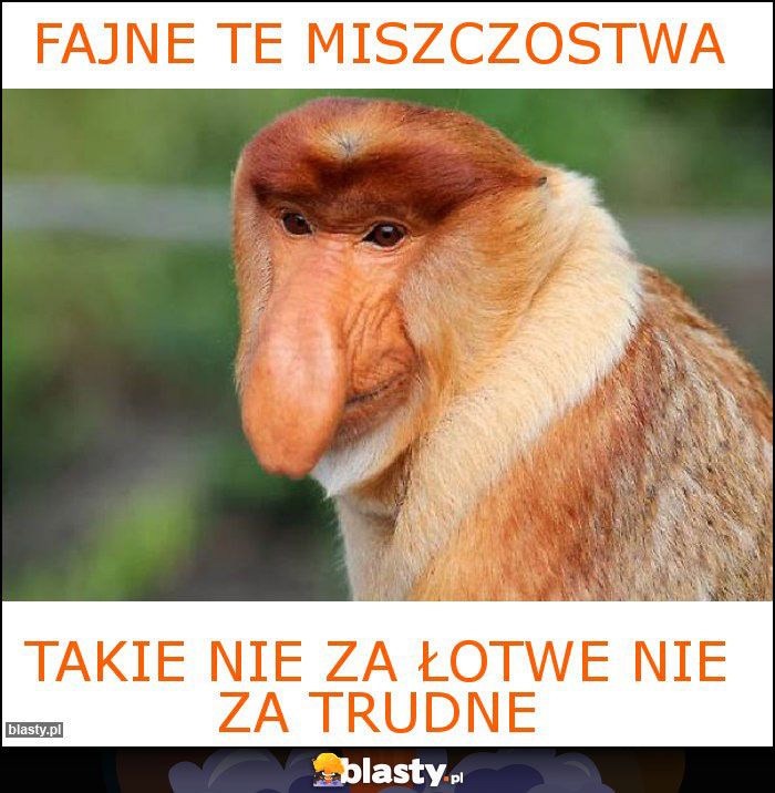 Fajne te miszczostwa Fajne te miszczostwa