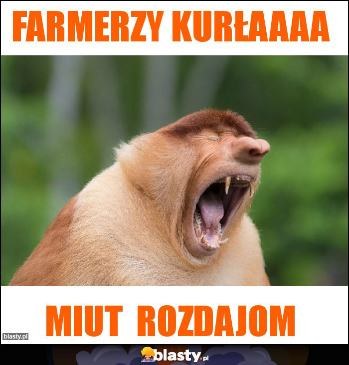 Farmerzy kurłaaaa Farmerzy kurłaaaa