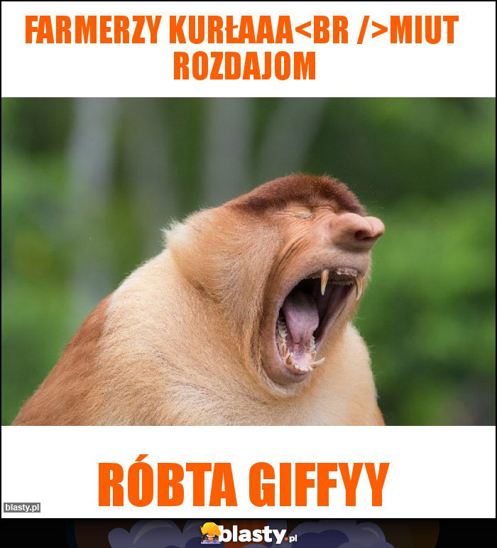 Farmerzy kurłaaa
Miut rozdajom Farmerzy kurłaaa
Miut rozdajom