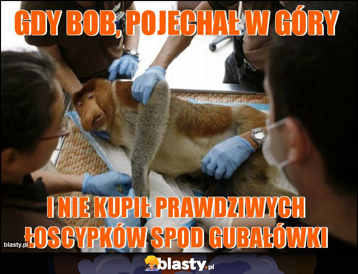 Gdy Bob, pojechał w góry Gdy Bob, pojechał w góry