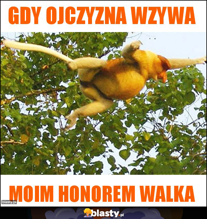 Gdy ojczyzna wzywa Gdy ojczyzna wzywa
