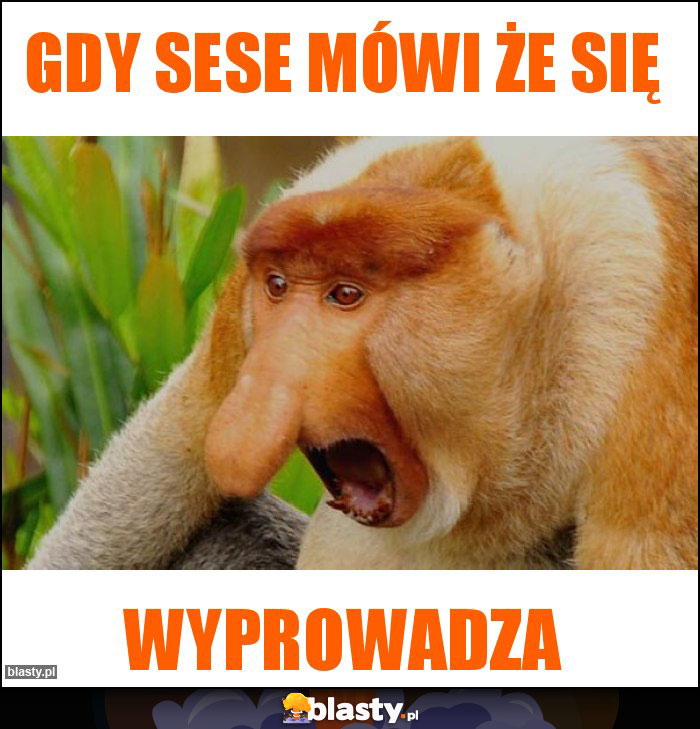 Gdy sese mówi że się Gdy sese mówi że się