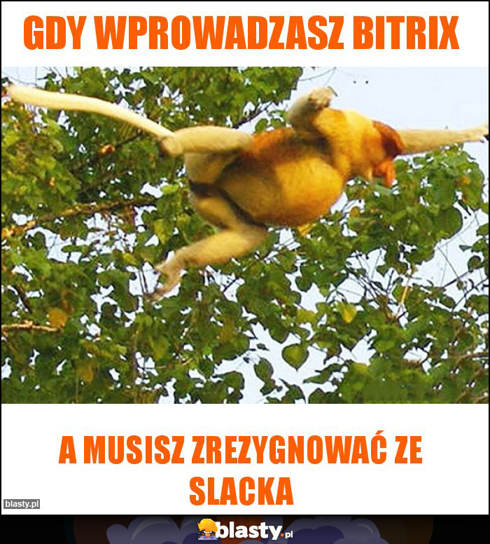 Gdy wprowadzasz bitrix Gdy wprowadzasz bitrix