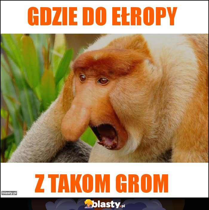 Gdzie do ełropy Gdzie do ełropy