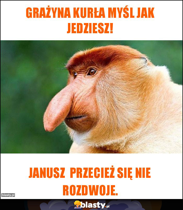 Grażyna kurła myśl jak jedziesz! Grażyna kurła myśl jak jedziesz!