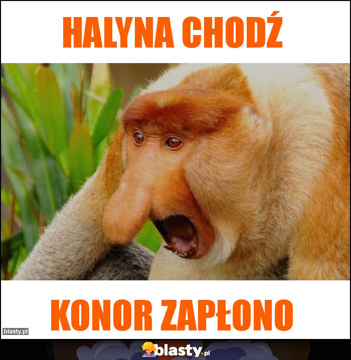 HALYNA CHODŹ HALYNA CHODŹ