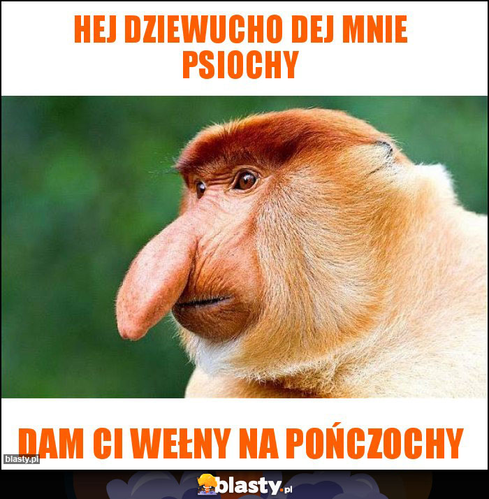Hej dziewucho dej mnie psiochy Hej dziewucho dej mnie psiochy