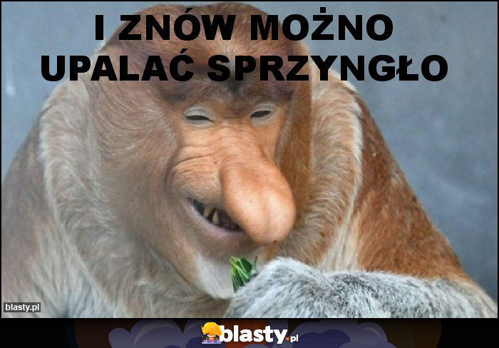 i znów możno upalać sprzyngło i znów możno upalać sprzyngło
