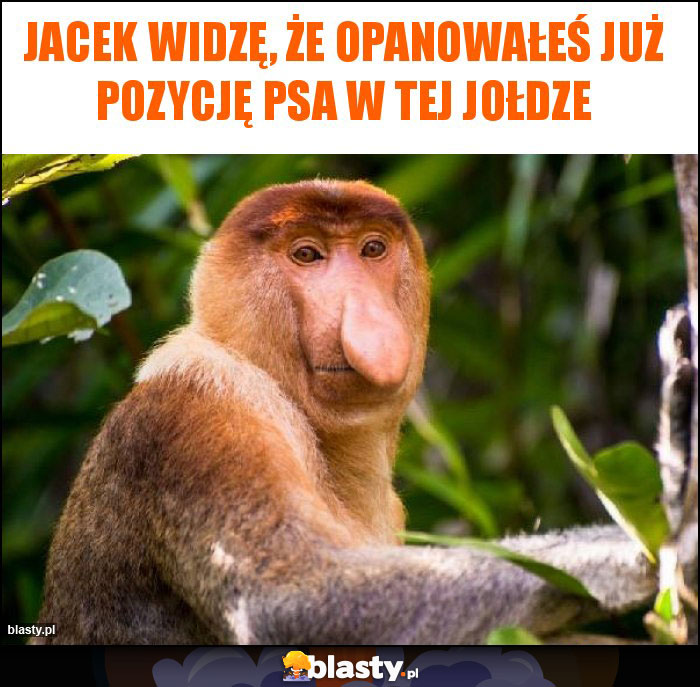 Jacek widzę, że opanowałeś już pozycję psa w tej Jołdze Jacek widzę, że opanowałeś już pozycję psa w tej Jołdze