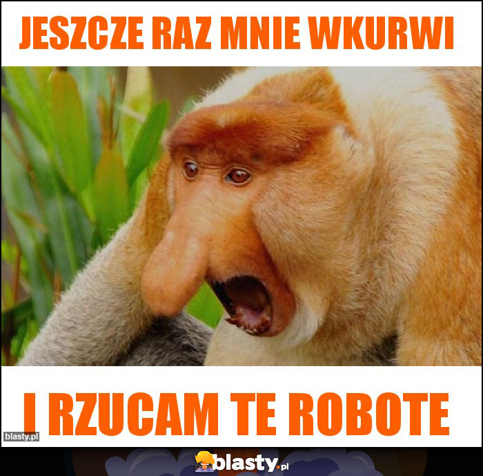 JESZCZE RAZ MNIE WKURWI JESZCZE RAZ MNIE WKURWI