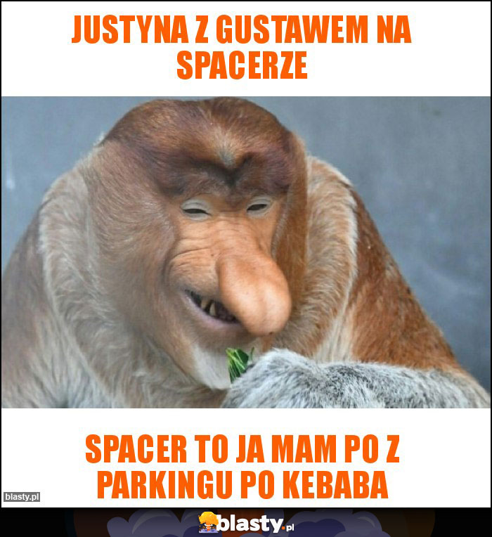Justyna z gustawem na spacerze Justyna z gustawem na spacerze