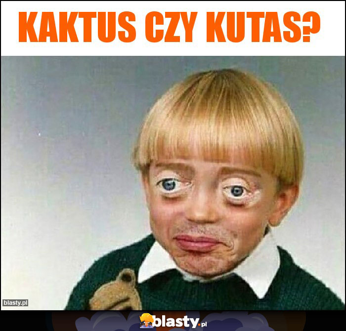 kaktus czy kutas?