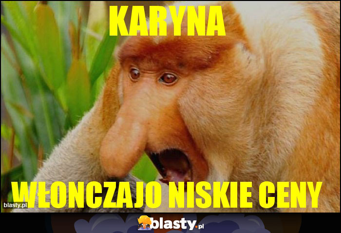 Karyna