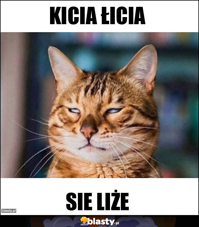 Kicia Łicia Kicia Łicia