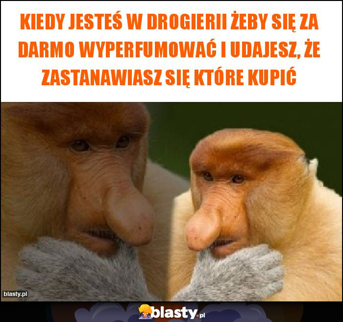 Kiedy jesteś w drogierii żeby się za darmo wyperfumować i udajesz, że zastanawiasz się które kupić Kiedy jesteś w drogierii żeby się za darmo wyperfumować i udajesz, że zastanawiasz się które kupić