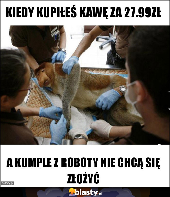 Kiedy kupiłeś kawę za 27.99zł Kiedy kupiłeś kawę za 27.99zł