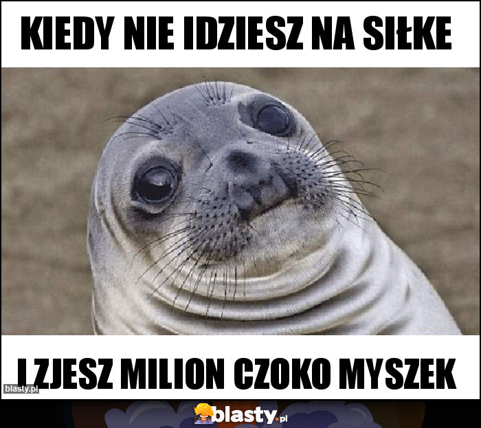 Kiedy nie idziesz na siłke Kiedy nie idziesz na siłke